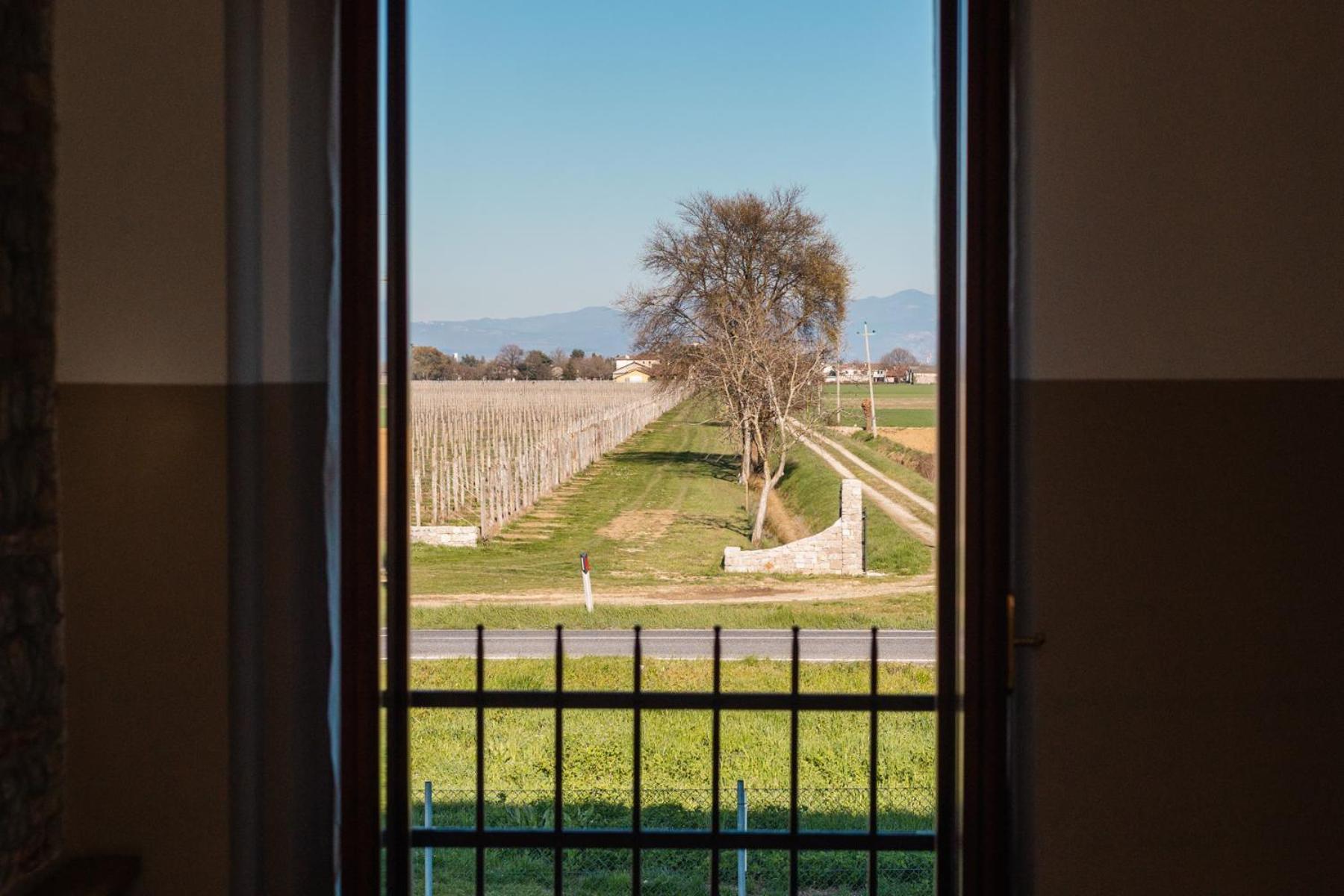 Agriturismo Mulino Delle Tolle Bagnario Arsa Exterior foto